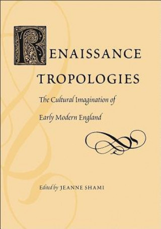Könyv Renaissance Tropologies Jeanne Shami