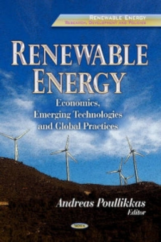Kniha Renewable Energy 