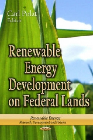 Buch Renewable Energy Development on Federal Lands 