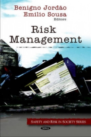 Kniha Risk Management 