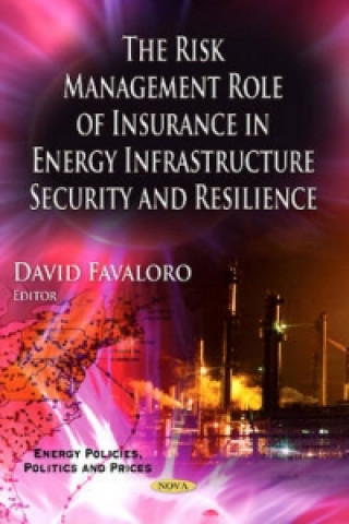Könyv Risk Management Role of Insurance in Energy Infrastructure Security & Resilience 