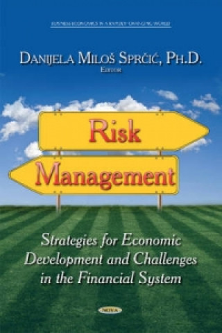 Boek Risk Management Danijela Milos Sprcic
