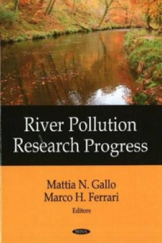 Könyv River Pollution Research Progress 
