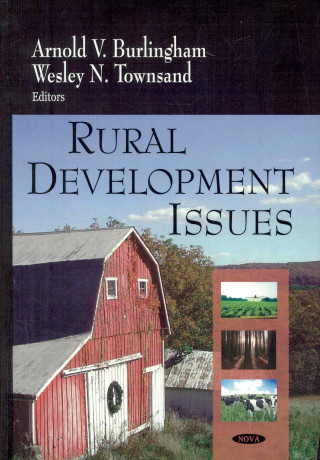 Könyv Rural Development Issues Wesley N. Townsand
