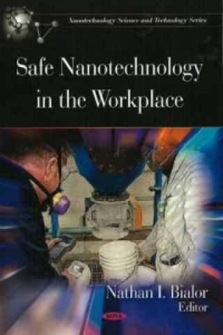 Kniha Safe Nanotechnology in the Workplace 