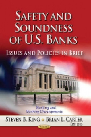 Könyv Safety & Soundness of U.S. Banks 