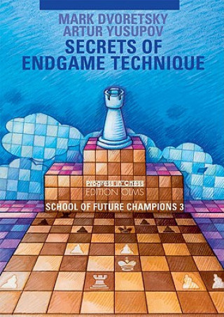 Kniha Secrets of Endgame Technique Artur Yusupov