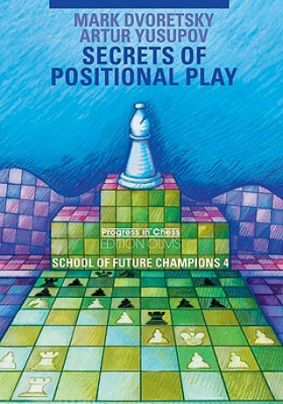 Kniha Secrets of Positional Play Artur Yusupov