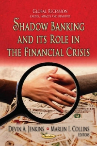 Buch Shadow Banking & its Role in the Financial Crisis 