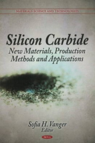 Kniha Silicon Carbide 