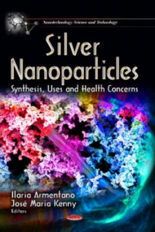 Kniha Silver Nanoparticles 