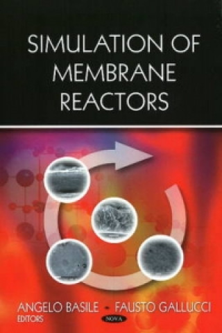 Carte Simulation of Membrane Reactors Fausto Gallucci