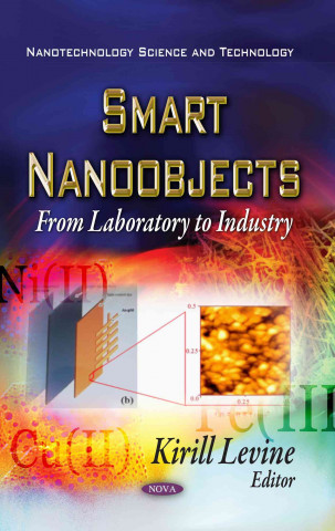 Livre Smart Nano-Objects 