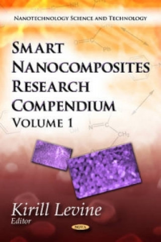 Boek Smart Nanocomposites Research Compendium Kirill Levine