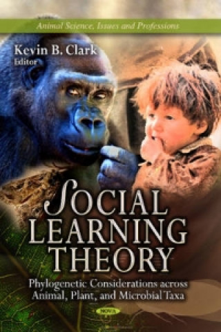 Βιβλίο Social Learning Theory 