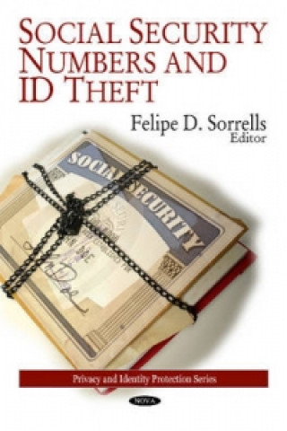 Kniha Social Security Numbers & ID Theft 