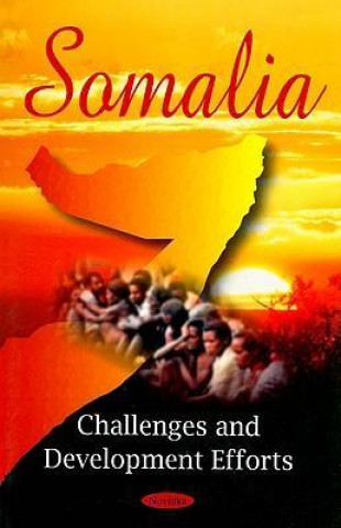 Knjiga Somalia Government Accountability Office