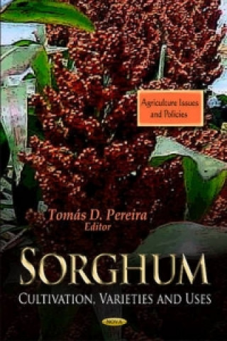 Könyv Sorghum 