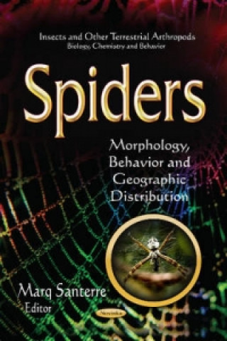 Könyv Spiders 