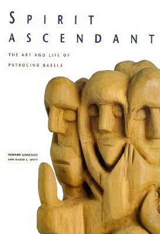 Buch Spirit Ascendant David L. Witt