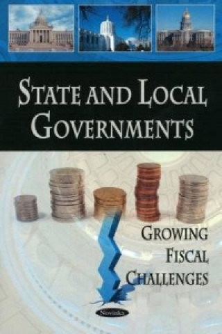 Βιβλίο State & Local Governments Government Accountability Office