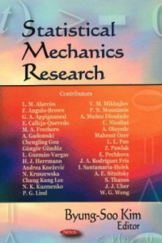 Kniha Statistical Mechanics Research 