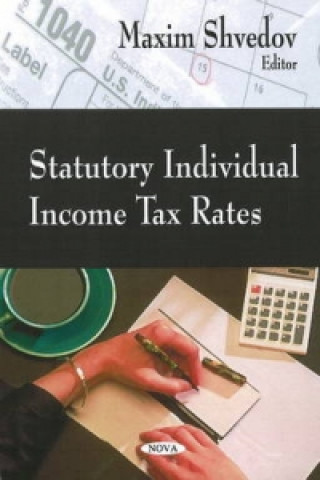 Kniha Statutory Individual Income Tax Rates Maxim Shvedov
