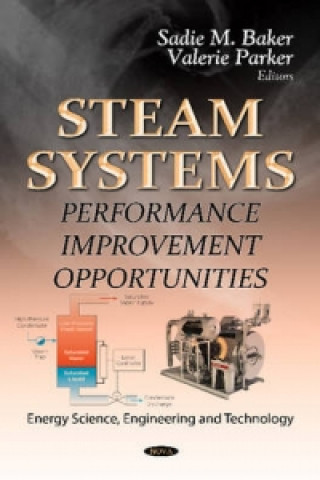 Könyv Steam Systems Sadie M Baker