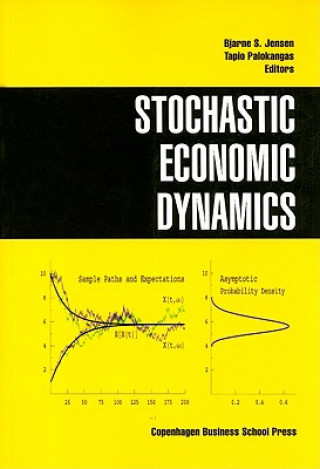Libro Stochastic Economic Dynamics Bjarne S Jensen
