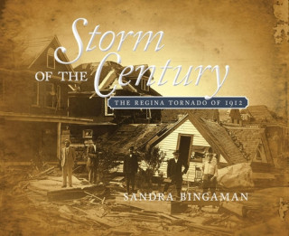 Kniha Storm of the Century Sandra Bingaman