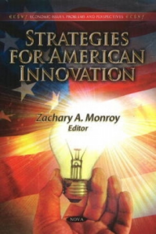 Könyv Strategies for American Innovation 