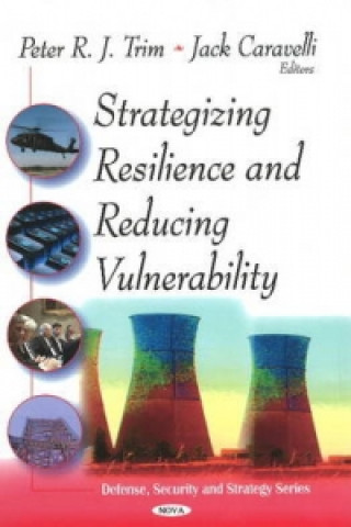 Książka Strategizing Resilence & Reducing Vulnerability 