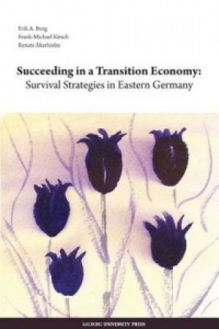 Kniha Succeeding in a Transition Economy Renate Akerhielm