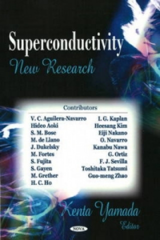 Livre Superconductivity 