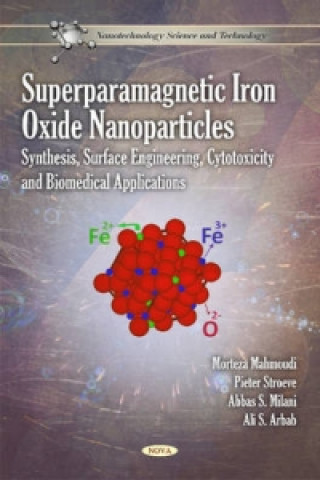 Kniha Superparamagnetic Iron Oxide Nanoparticles Ali S. Arbab