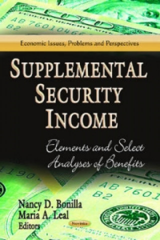 Kniha Supplemental Security Income 