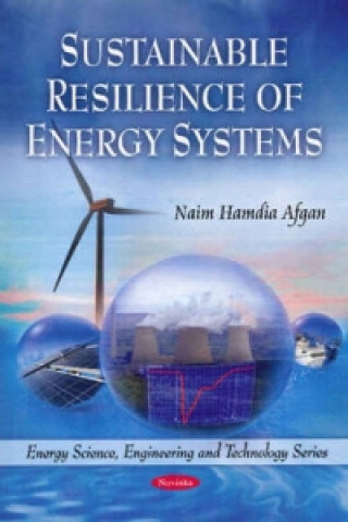 Kniha Sustainable Resilience of Energy Systems Naim Hamdia Afgan