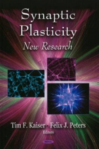 Buch Synaptic Plasticity 