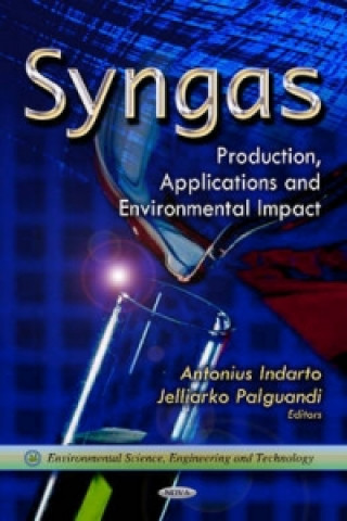 Kniha Syngas 
