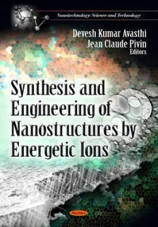 Könyv Synthesis & Engineering of Nanostructures by Energetic Ions 