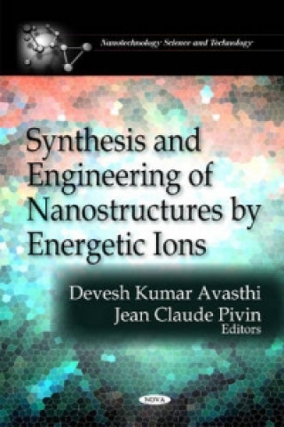 Könyv Synthesis & Engineering of Nanostructures by Energetic Ions 