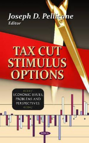 Carte Tax Cut Stimulus Options 
