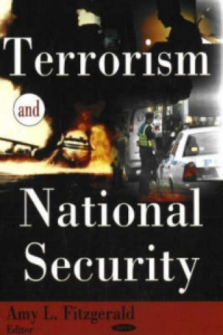 Książka Terrorism & National Security 