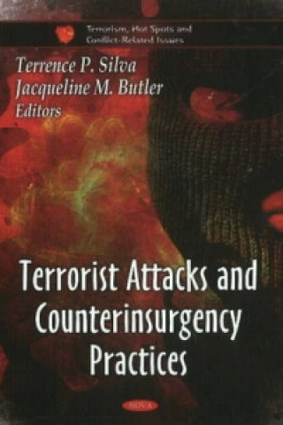 Kniha Terrorist Attacks and Counterinsurgency Practices 