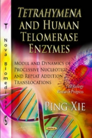 Könyv Tetrahymena & Human Telomerase Enzymes Ping Xie