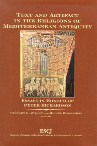 Kniha Text and Artifact in the Religions of Mediterranean Antiquity 