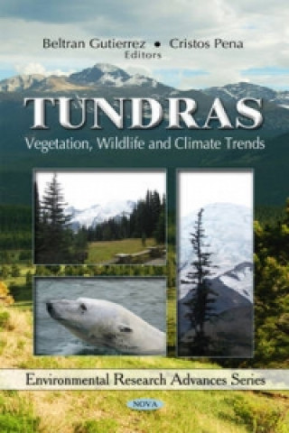 Kniha Tundras 