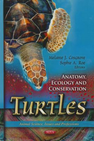 Buch Turtles 