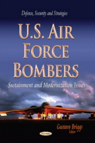 Carte U.S. Air Force Bombers 