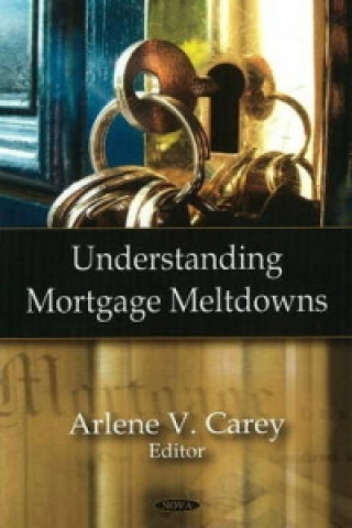 Libro Understanding Mortgage Meltdowns 